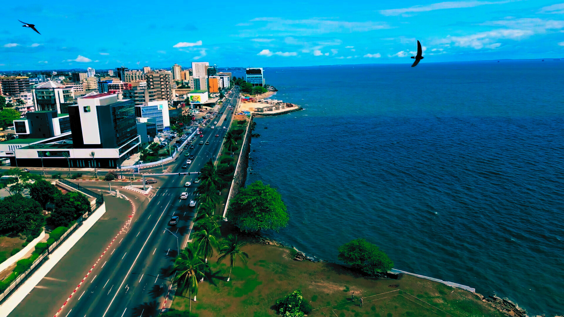 Association des Familles Franco-Gabonaises